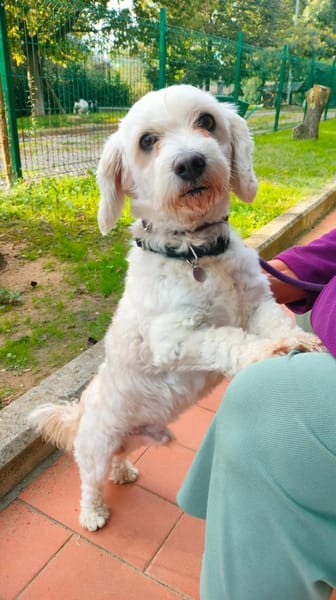 Biri - zur Pflege in Deutschland