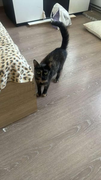 Daisy, mit mir kommt Freude ins Haus