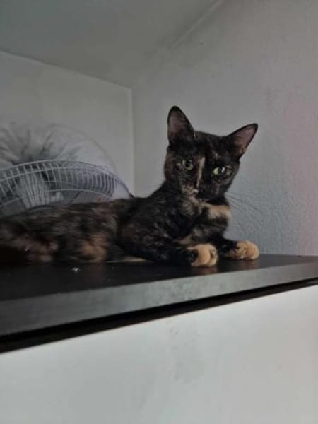 Daisy, mit mir kommt Freude ins Haus