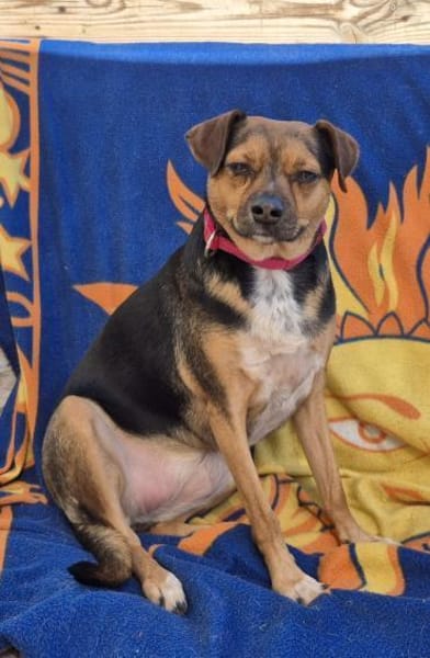 CANELA 💝 zuckersüße Knutschkugel!