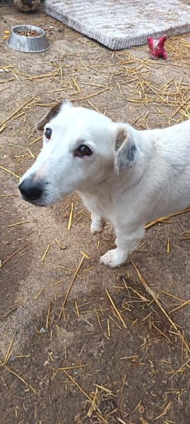 Marzipan hat sein Zuhause verloren💔