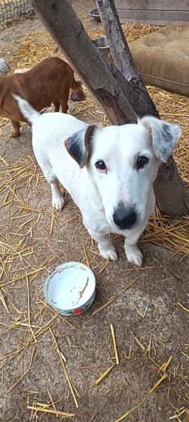 Marzipan hat sein Zuhause verloren💔