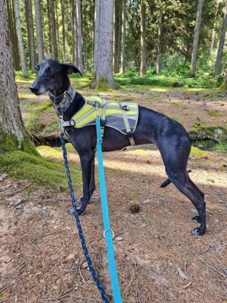 Gretel sucht erfahrene Menschen