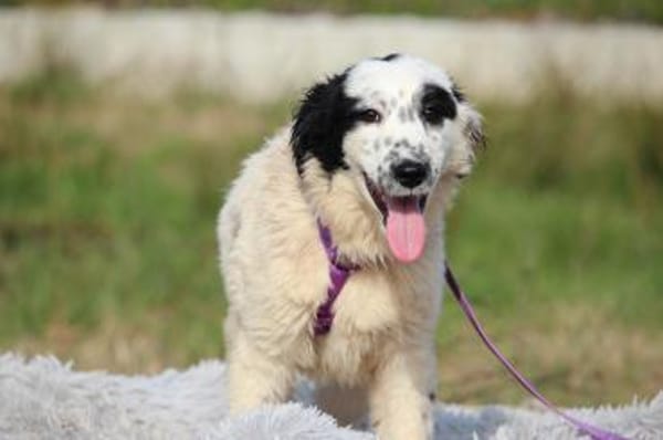 Neria sucht ihre Menschen...