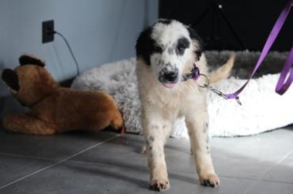 Neria sucht ihre Menschen...