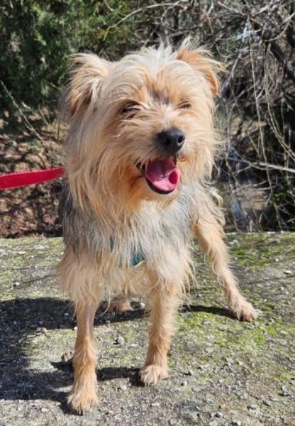 Archi wäre so gerne ein Familienmitglied