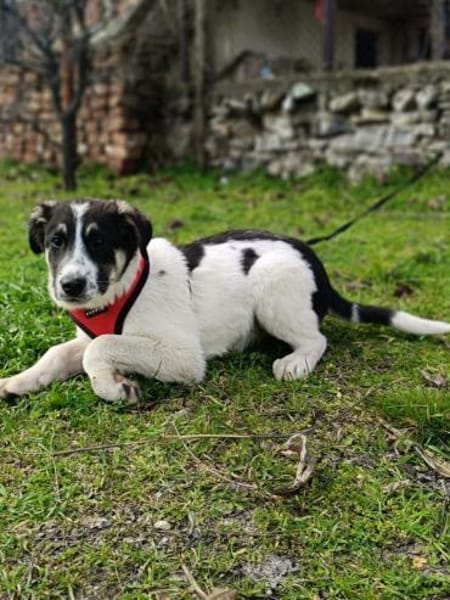 Marcy einfach nur toll