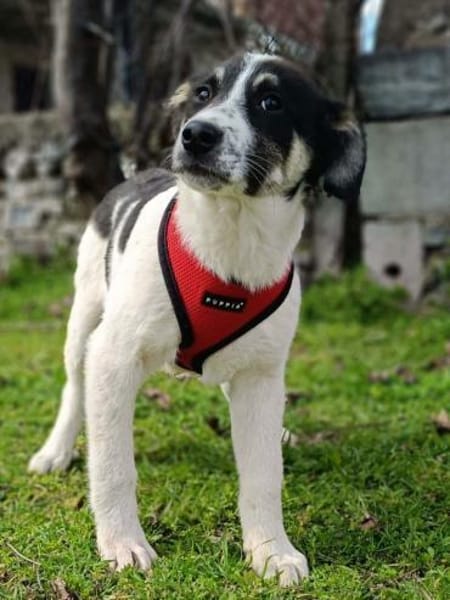 Marcy einfach nur toll