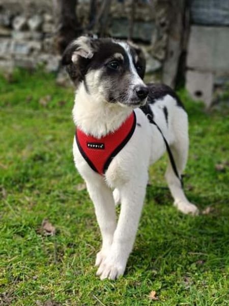 Marcy einfach nur toll