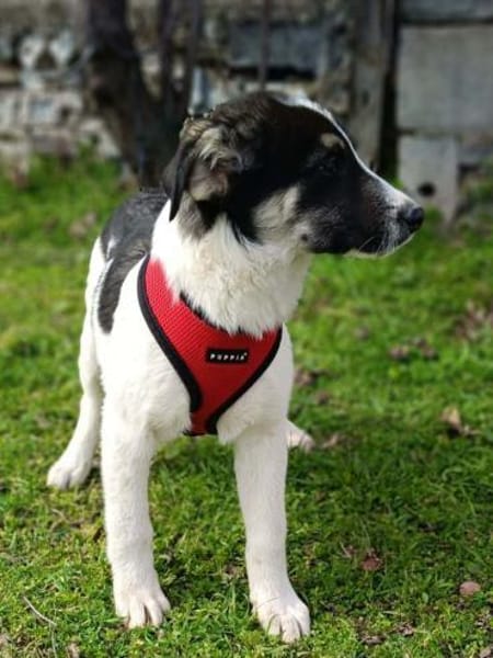 Marcy einfach nur toll