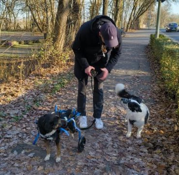 Elian - Freundlicher, toller Herzenshund