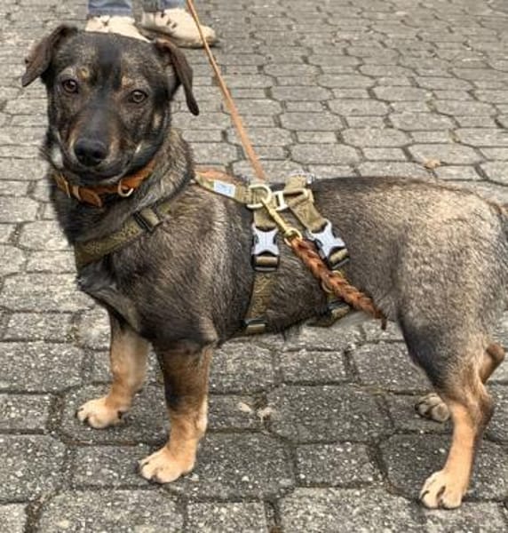 Yumi° 86529 Schrobenhausen