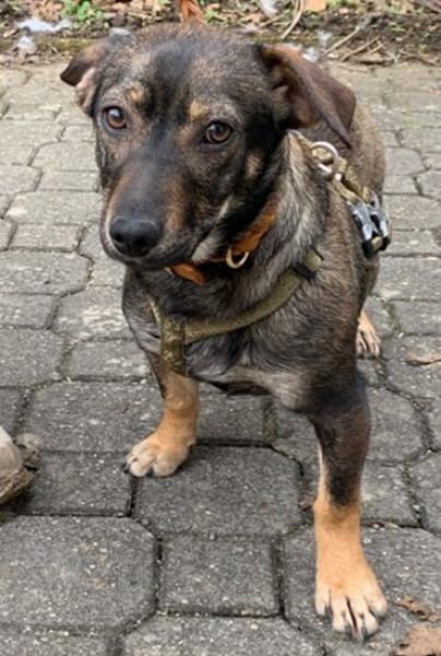 Yumi° 86529 Schrobenhausen