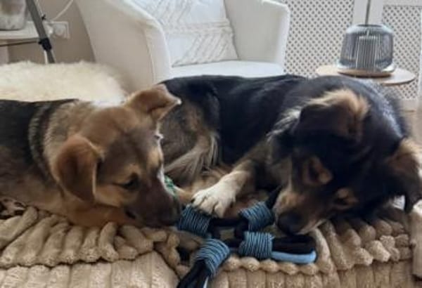 Akashi sucht ihre Menschen