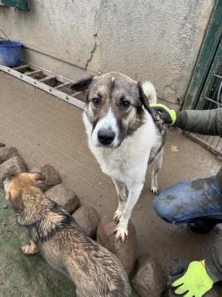 Erika sucht geduldige Menschen