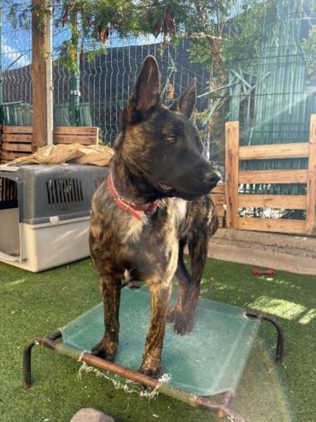 RENAUD 💖 wunderbarer Charakter!