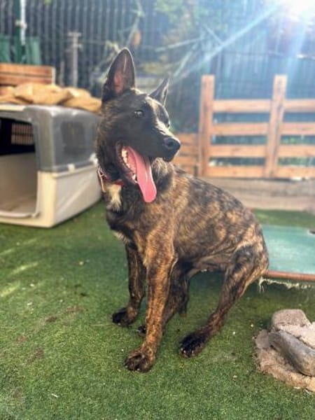 RENAUD 💖 wunderbarer Charakter!