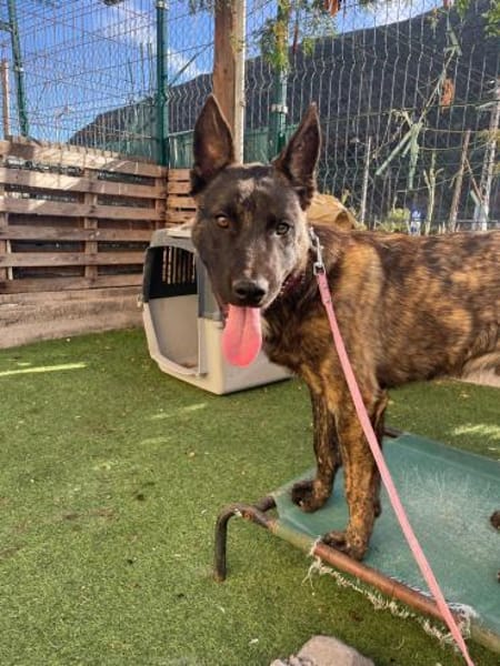 RENAUD 💖 wunderbarer Charakter!