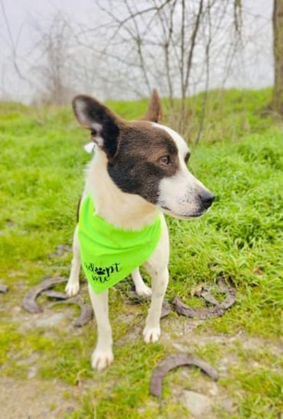 Gutsi ein tolles Kerlchen