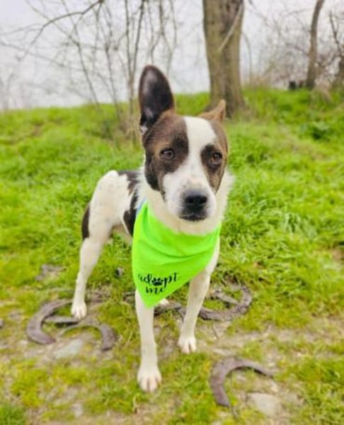 Gutsi ein tolles Kerlchen