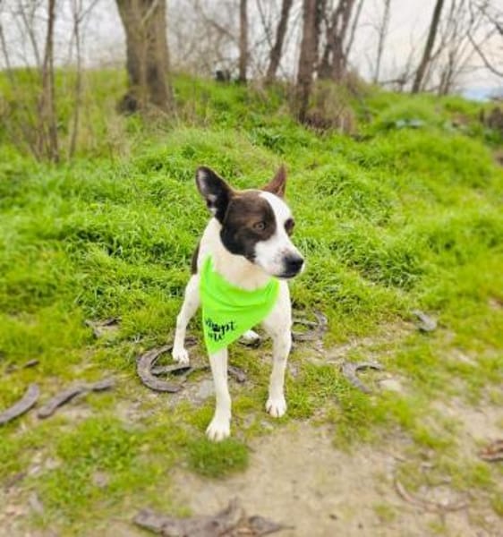 Gutsi ein tolles Kerlchen