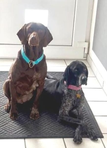 Evangelia -zur Pflege in 65205 Wiesbaden