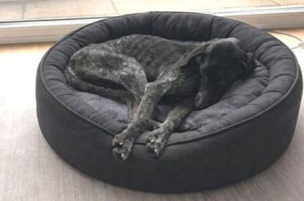 Evangelia -zur Pflege in 65205 Wiesbaden