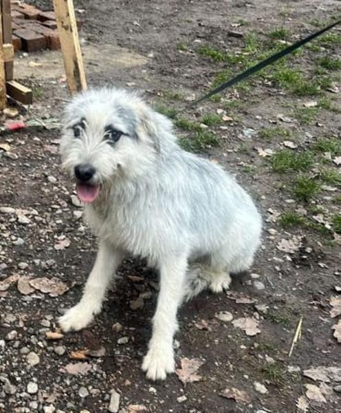 Momo, suche Anschluß