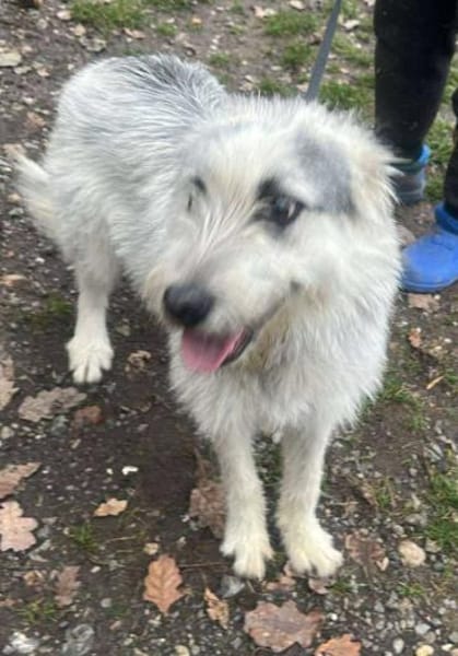 Momo, suche Anschluß