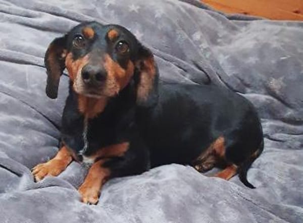 Tami-tacsi°  33142 Büren