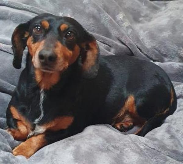 Tami-tacsi°  33142 Büren