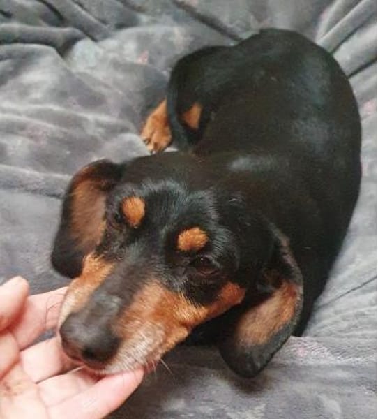 Tami-tacsi°  33142 Büren