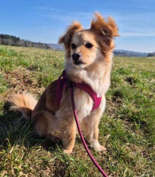 kleine zarte Lia 🥰