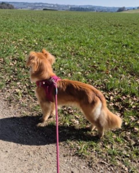 kleine zarte Lia 🥰