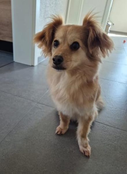 kleine zarte Lia 🥰