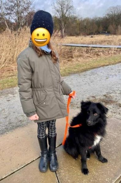 aktiver Parker auf PS in 95448