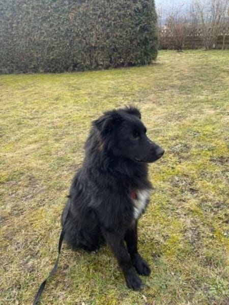 aktiver Parker auf PS in 95448