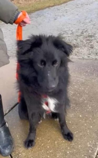 aktiver Parker auf PS in 95448