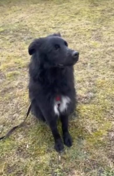 aktiver Parker auf PS in 95448