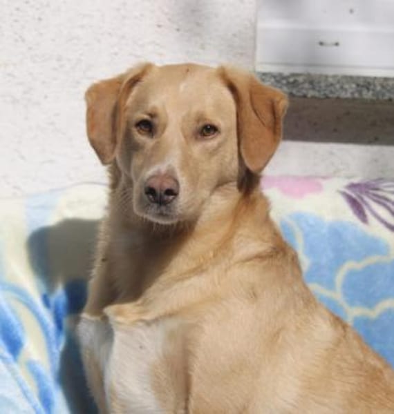 Nemo, leise Seele...