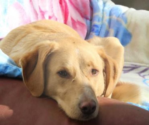 Nemo, leise Seele...