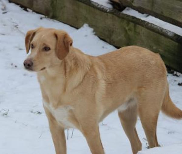 Nemo, leise Seele...