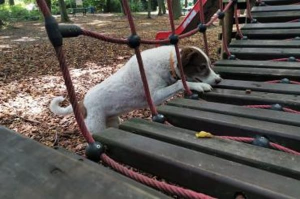 Marta - wartet in 13089 Berlin