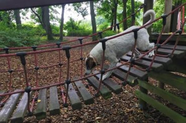 Marta - wartet in 13089 Berlin