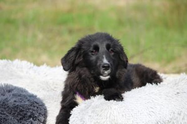 Eymina unsere kleine Schönheit..