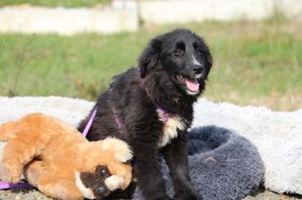 Eymina unsere kleine Schönheit..