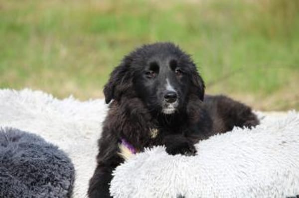 Eymina unsere kleine Schönheit..