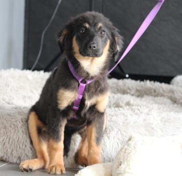 Mera hat endlose Liebe zu verschenken!