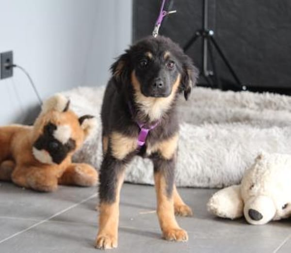 Mera hat endlose Liebe zu verschenken!