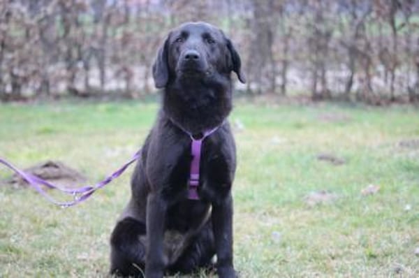 Milana sucht ihr Glück ...